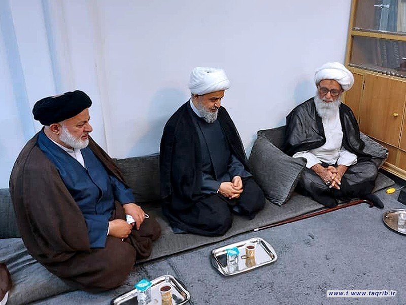 دیدار دبیرکل مجمع تقریب و آیت الله العظمی بشیر نجفی از مراجع تقلید در کشور عراق
