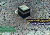 ما امت رسول الله هستیم