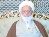 حجت الاسلام والمسلمین دکتر محمد حسین اکبر | پاکستان